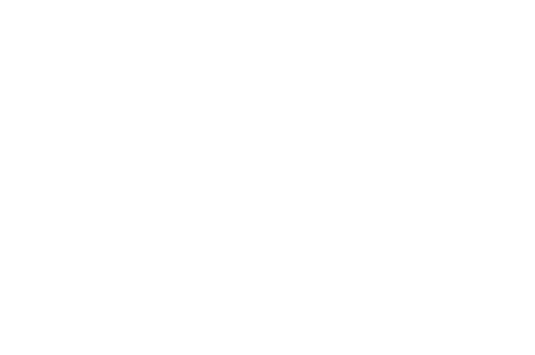 Best Comedy Feature — Tokyo Film Awards
